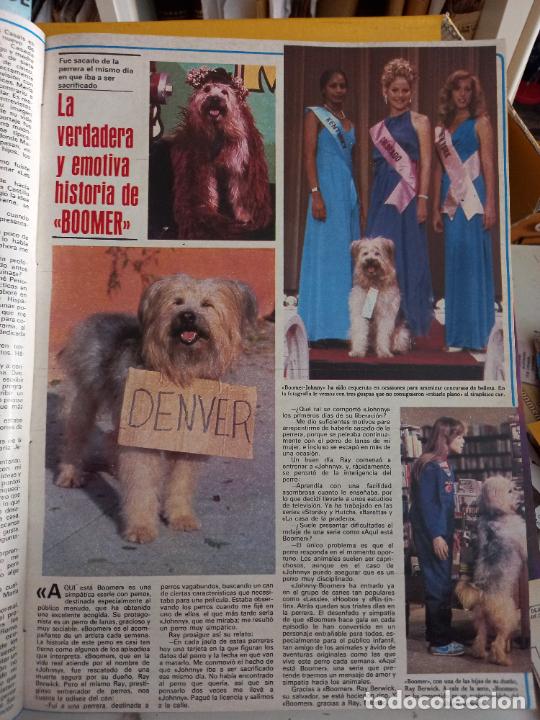 Coleccionismo de Revistas y Peri&oacute;dicos: el perro boomer miss colorado new york california
