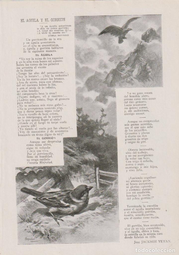 Coleccionismo de revistas y peri&oacute;dicos: El &aacute;guila y el gorri&oacute;n / versos de Jos&eacute; Jackson Vey&aacute;n - 1913