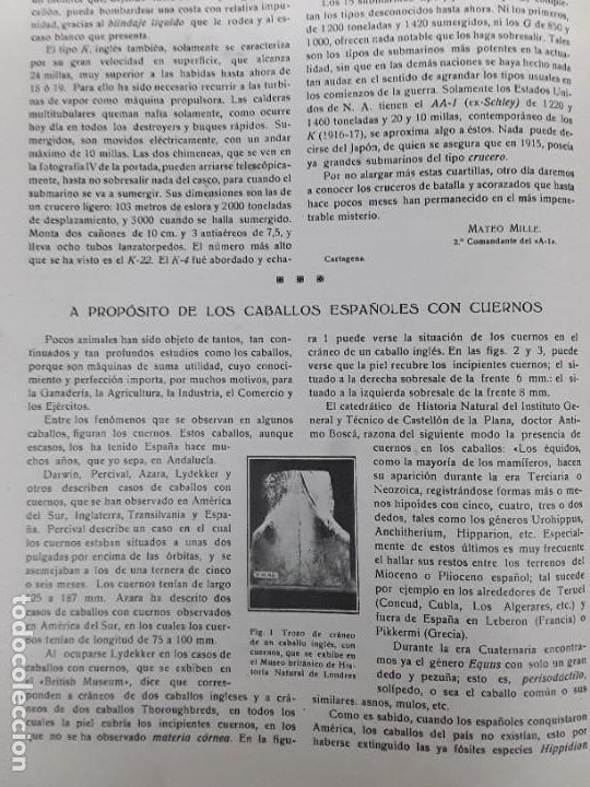 Sammeln von Zeitschriften und Zeitungen: LOS CABALLOS ESPA&Ntilde;OLES CON CUERNOS ANDALUCIA ESPEJUELO ESPOLONES REVISTA A&Ntilde;O 1919