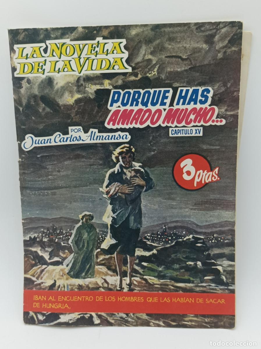 Collection Magazines and Newspapers: LA NOVELA DE LA VIDA - PORQUE HAS AMADO MUCHO- CAPITULO 15