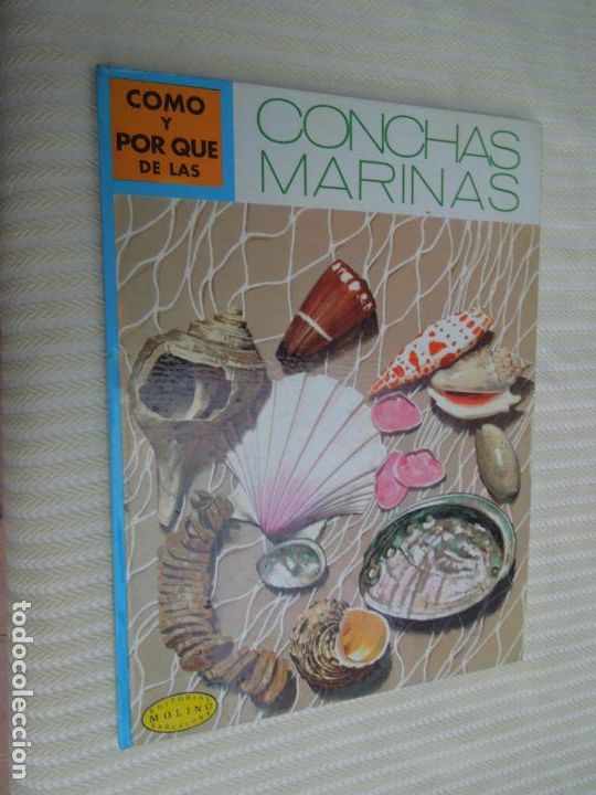 Coleccionismo de Revistas y Peri&oacute;dicos: COMO Y PORQU&Eacute; DE LAS CONCHAS MARINAS - DONALD F. LOW- N&ordm; 50- EDITORIAL MOLINO 1973