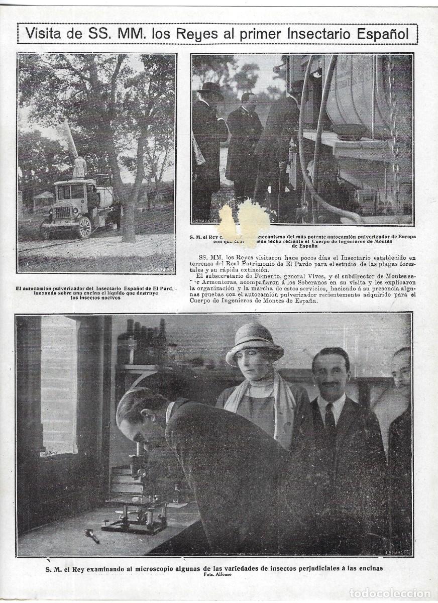 Collection Magazines and Newspapers: 1924 HOJA REVISTA MADRID EL PARDO VISITA REYES ALFONSO Y VICTORIA AL PRIMER INSECTARIO ESPA&Ntilde;OL