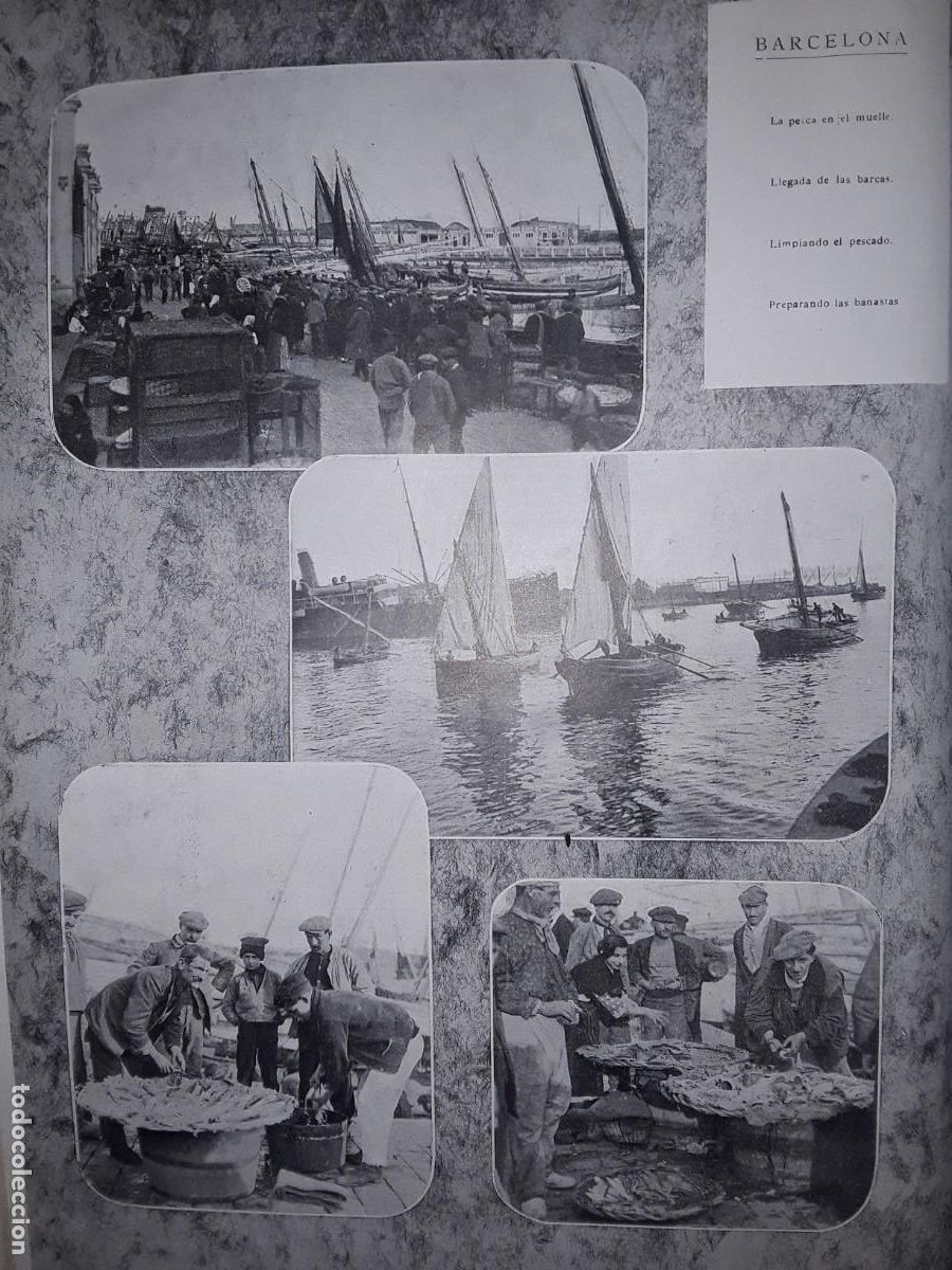 Collection Magazines and Newspapers: LA PESCA EN EL PUERTO DE BARCELONA MUELLE BARCAS LIMPIANDO PESCADO BANASTAS HOJA A&Ntilde;O 1913