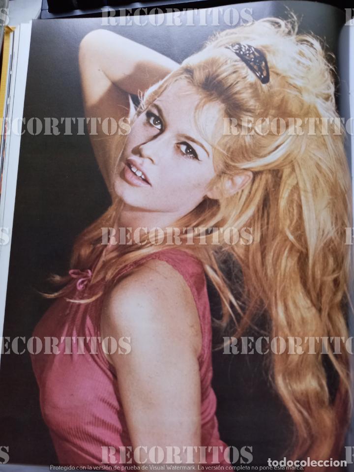 Coleccionismo de Revistas y Peri&oacute;dicos: bb brigitte bardot
