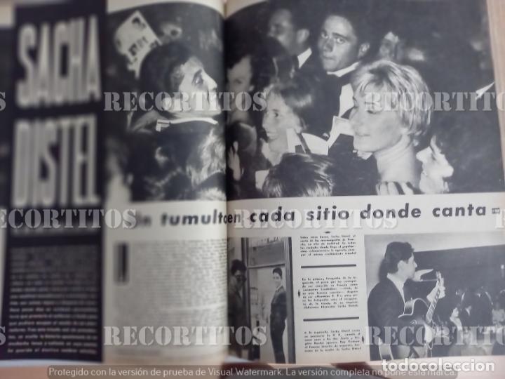 Sammeln von Zeitschriften und Zeitungen: SACHA DISTEL