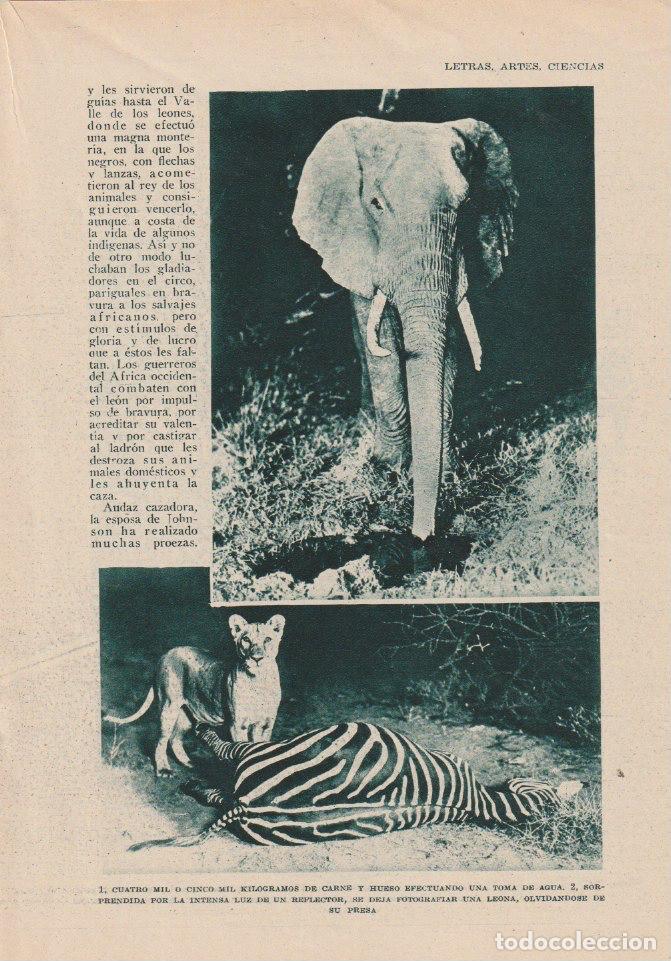 Coleccionismo de Revistas y Peri&oacute;dicos: * CAZA SIN MUERTE *As&iacute; se fotograf&iacute;a fieras en libertad y se logra capturarlas vivas - 1928