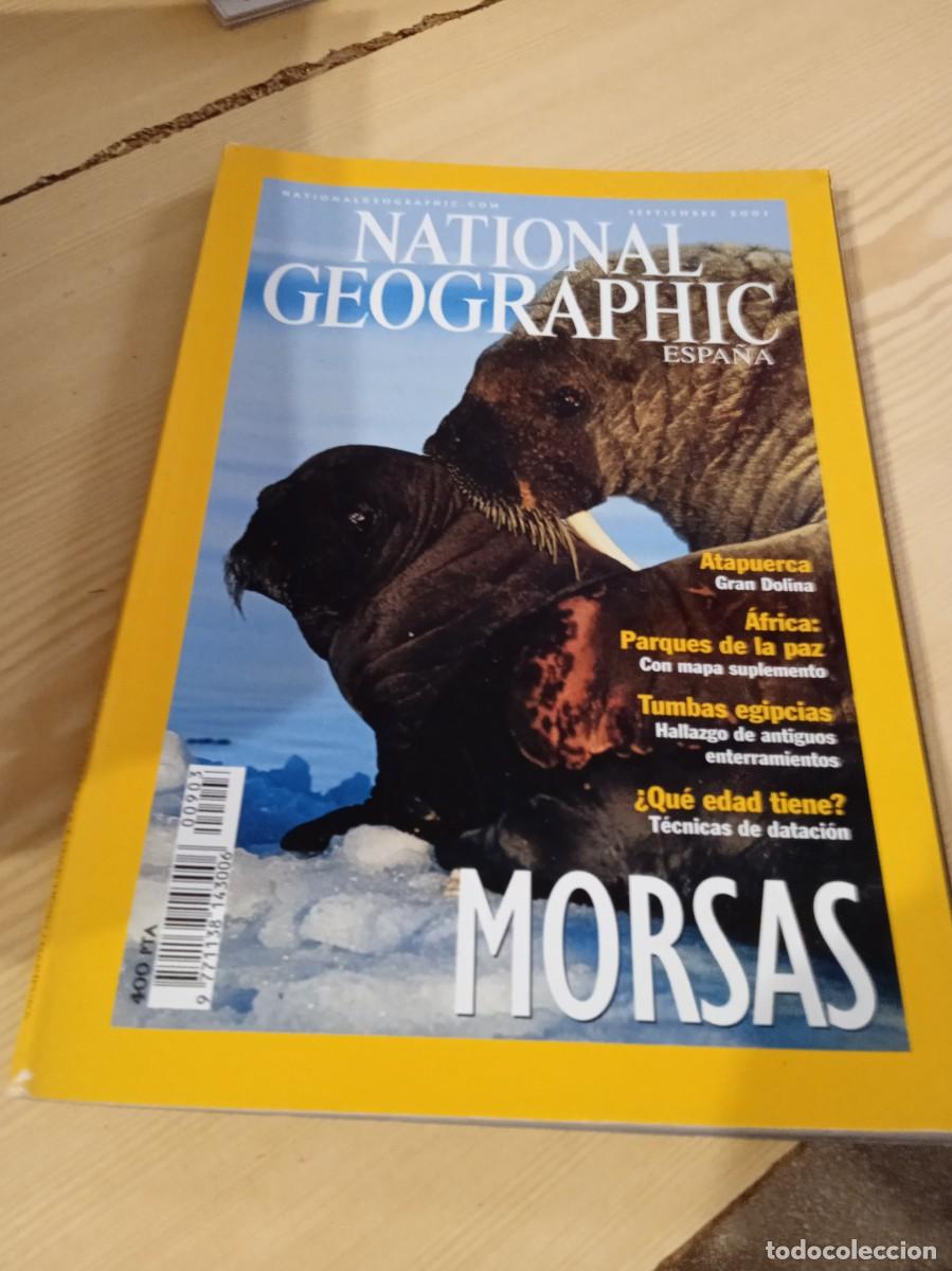 Morsas  National Geographic