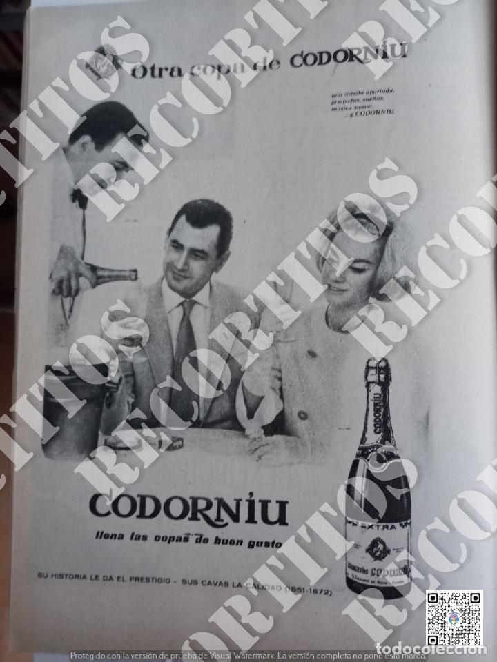 Coleccionismo de revistas y peri&oacute;dicos: CAVA ANUNCIO PUBLICIDAD CODORNIU