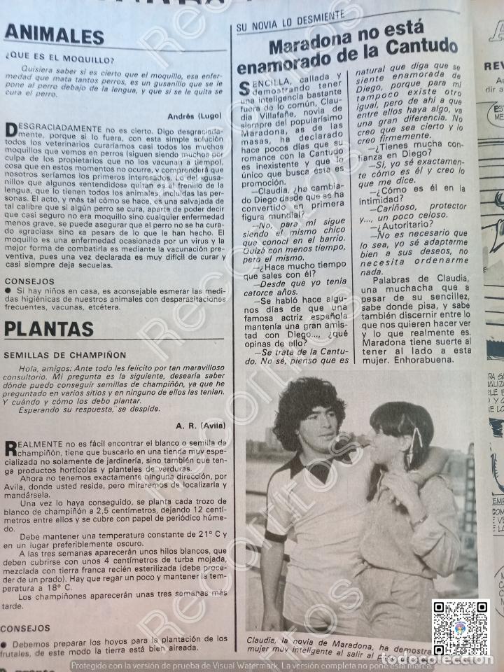 Coleccionismo de revistas y peri&oacute;dicos: MARADONNA MARIA JOSE CANTUDO