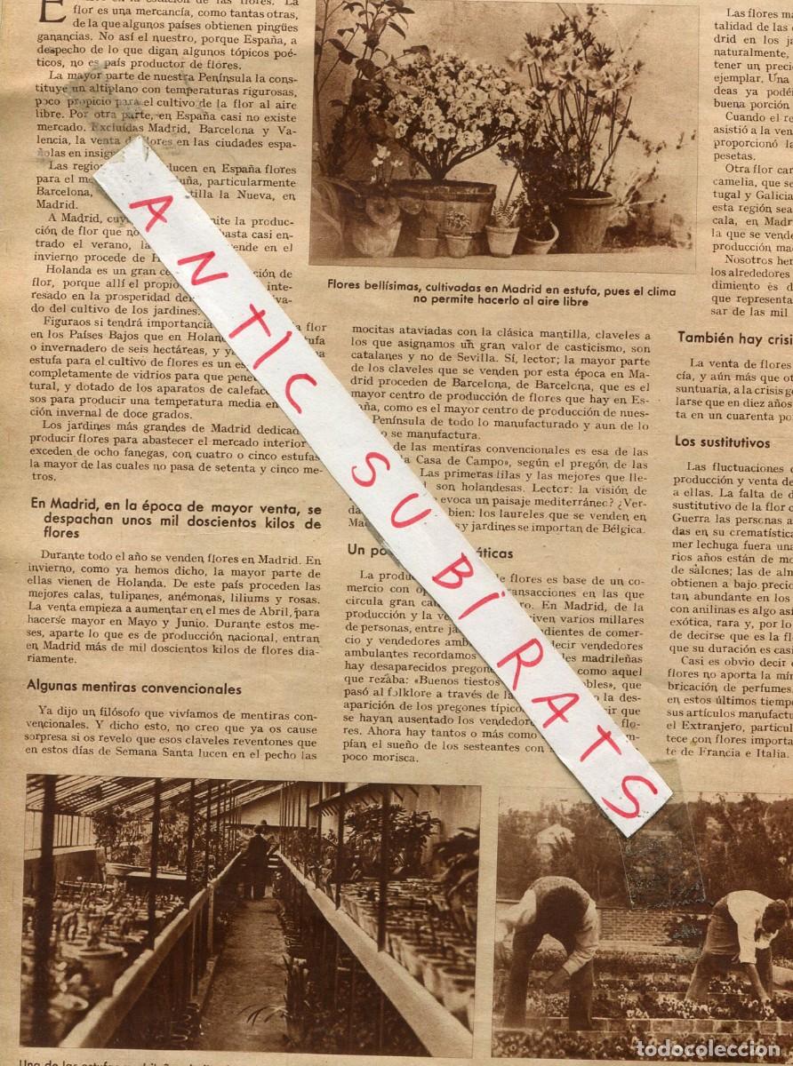 Coleccionismo de revistas y peri&oacute;dicos: REVISTA A&Ntilde;O 1935 EL CULTIVO DE FLORES EN MADRID ALBINISMO INDIOS BLANCOS ALBINOS ESGRIMA CONDE ASMIR
