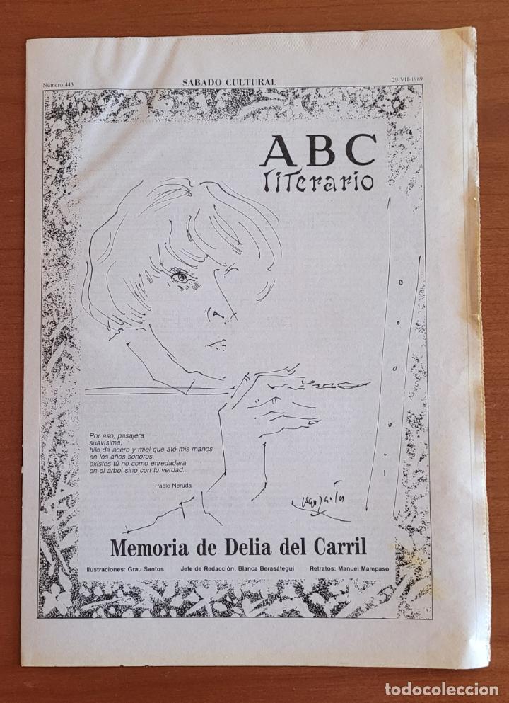 Coleccionismo de Revistas y Peri&oacute;dicos: ABC Literario 20-7-89. Memoria de Delia del Carril