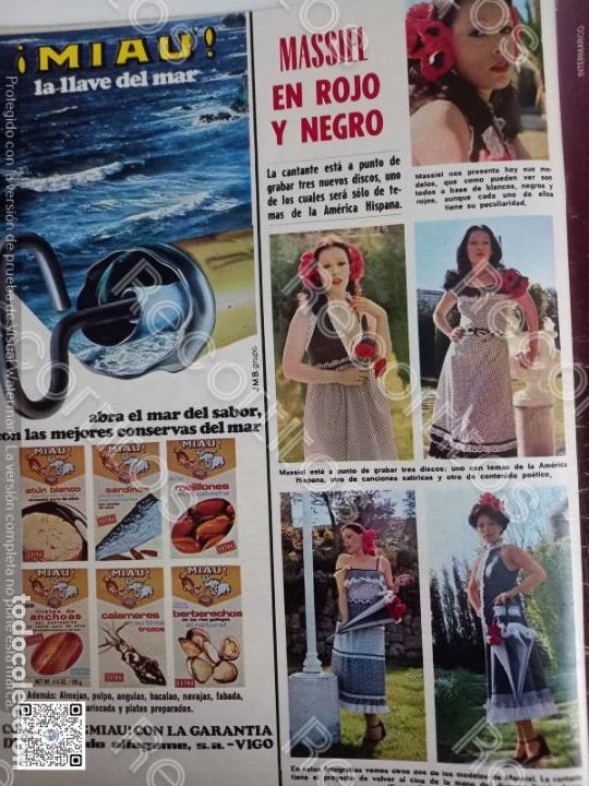 Coleccionismo de Revistas y Peri&oacute;dicos: MASSIEL