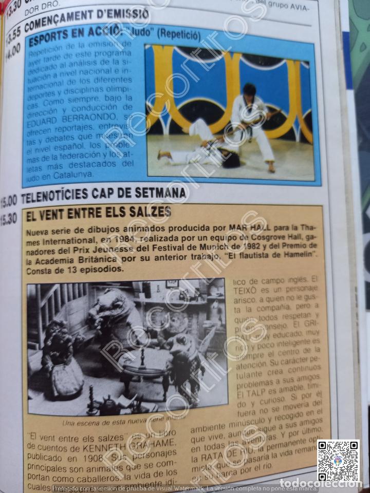 Coleccionismo de revistas y peri&oacute;dicos: EL VIENTO ENTRE LOS SAUCES ANIMACION JUDO