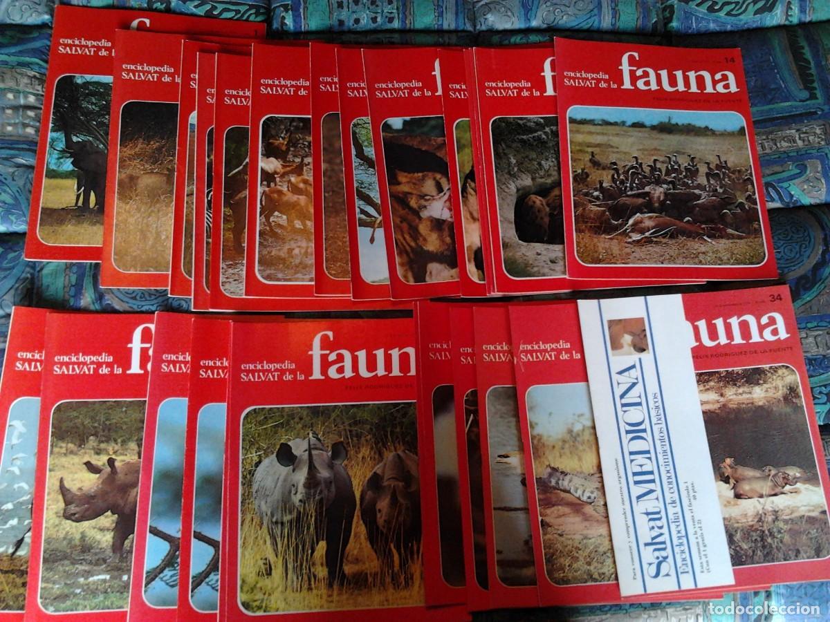 Collection Magazines and Newspapers: 27 FASCICULOS ENCICLOPEDIA SALVAT DE LA FAUNA FELIX RODIGUEZ DE LA FUENTE 1974
