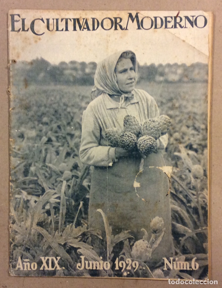 Collection Magazines and Newspapers: EL CULTIVADOR MODERNO N&deg; 6 (1929).