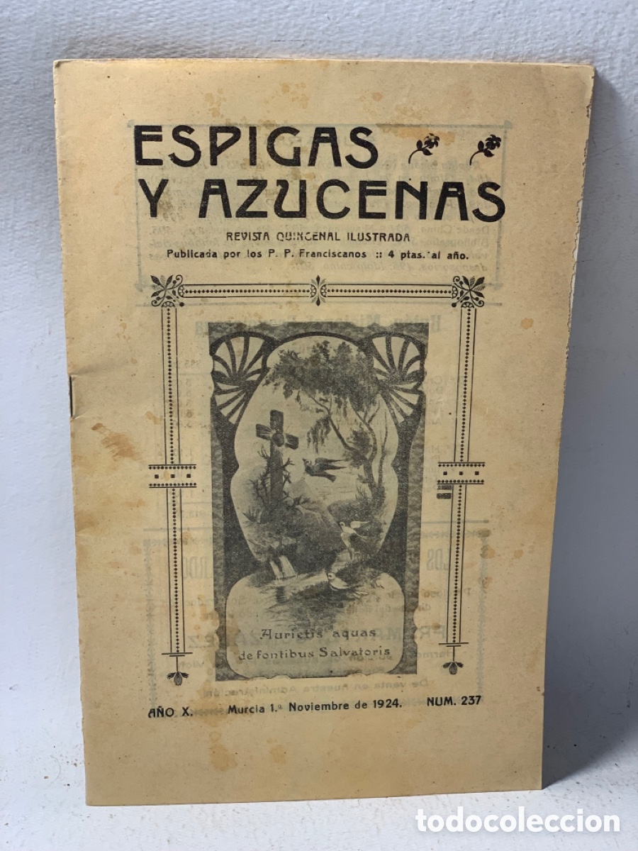 Collezionismo di Riviste e Giornali: ESPIGAS Y AZUCENAS &middot;&middot; REVISTA QUINCENAL ILUSTRADA N&ordm; 237&middot;&middot; A&Ntilde;O NOVIEMBRE 1924