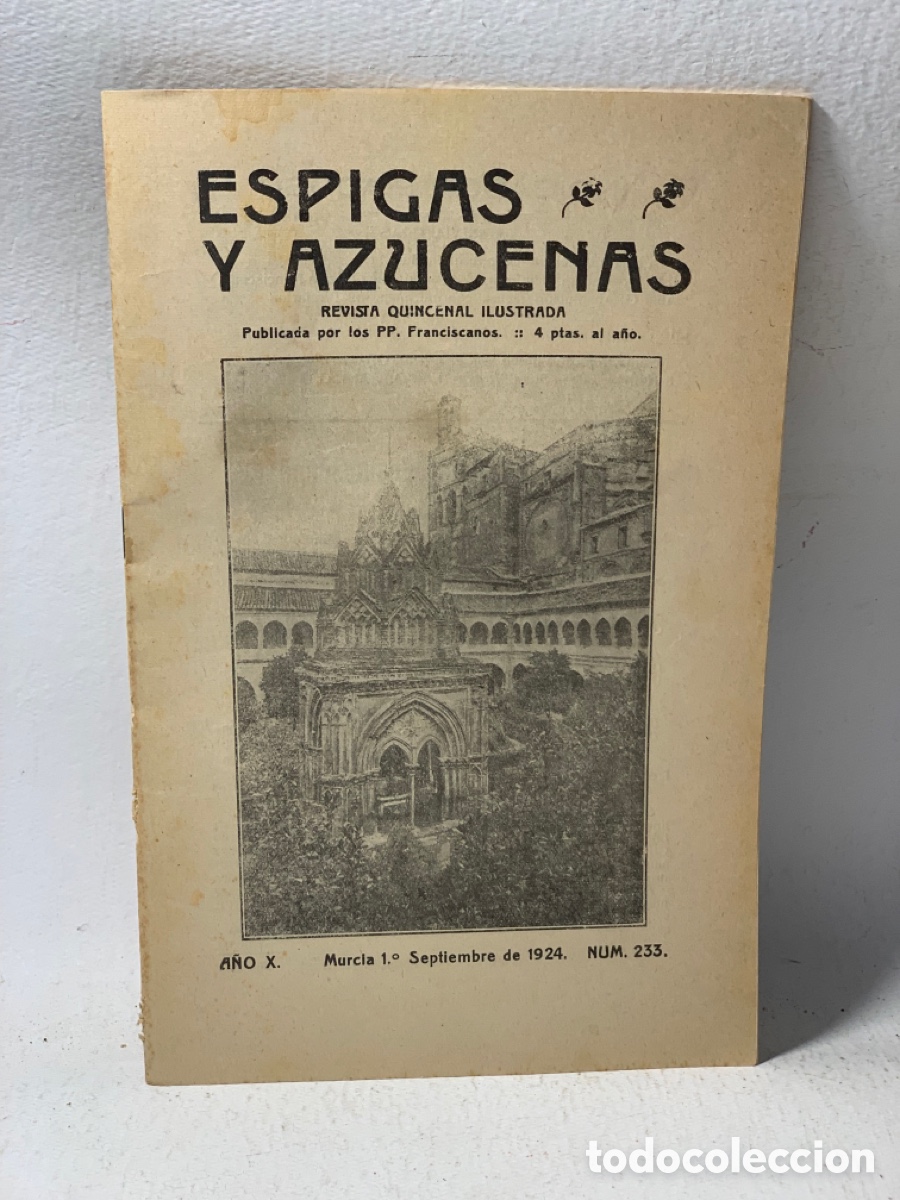 Collezionismo di Riviste e Giornali: ESPIGAS Y AZUCENAS &middot;&middot; REVISTA QUINCENAL ILUSTRADA N&ordm; 233&middot;&middot; A&Ntilde;O SEPTIEMBRE 1924