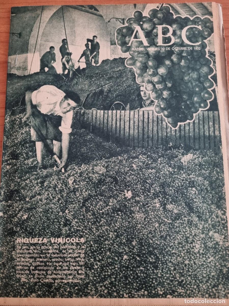 Coleccionismo de Revistas y Peri&oacute;dicos: ABC. MADRID, 10 OCTUBRE 1952. N&deg; 14540. RIQUEZA VINICOLA, LA UVA, SIN LA GRACIA DEL PAMPANO. LEER.