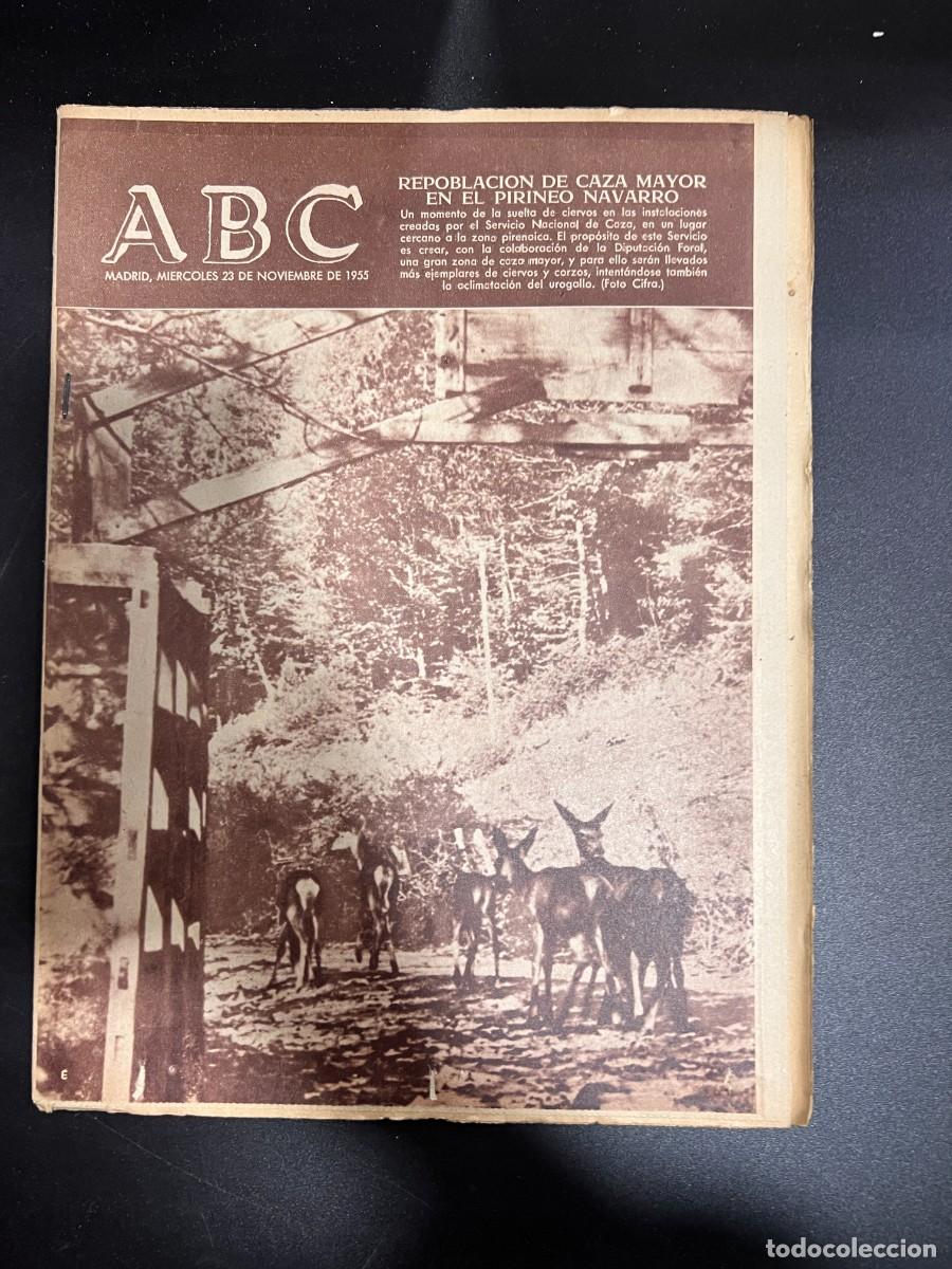 Coleccionismo de Revistas y Peri&oacute;dicos: ABC. NOVIEMBRE 1955. N&ordm; 15510. REPOBLACION DE CAZA MAYOR EN EL PIRINEO NAVARRO. LEER
