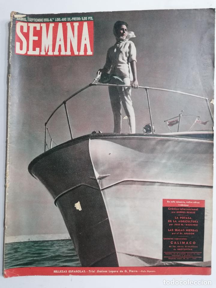 Coleccionismo de Revistas y Peri&oacute;dicos: REVISTA SEMANA N&ordm; 1019-A&Ntilde;O XX, 1 SEPTIEMBRE 1959, PORTADA BELLEZAS ESPA&Ntilde;OLAS