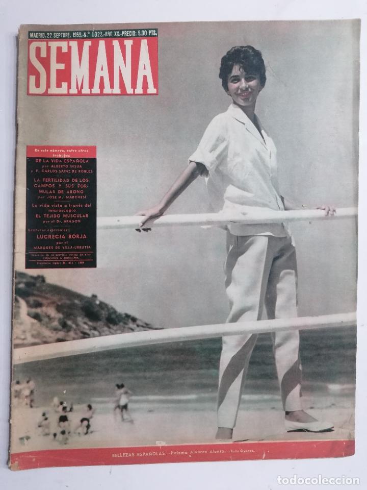 Coleccionismo de Revistas y Peri&oacute;dicos: REVISTA SEMANA N&ordm; 1022-A&Ntilde;O XX, 22 SEPTIEMBRE 1959, PORTADA BELLEZAS ESPA&Ntilde;OLAS