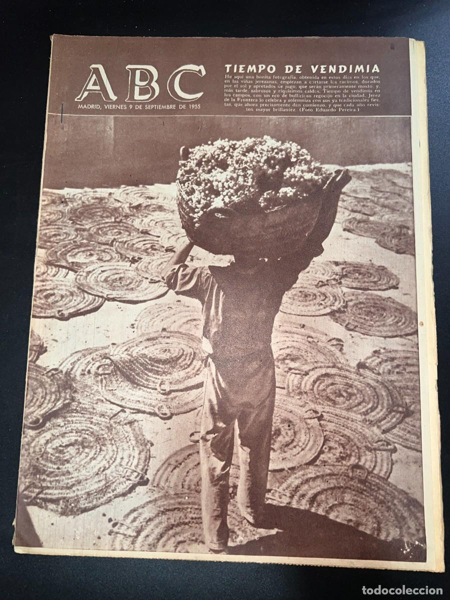 Coleccionismo de Revistas y Peri&oacute;dicos: ABC. SEPTIEMBRE 1955. N&ordm; 15446. TIEMPO DE VENDIMIA. LEER