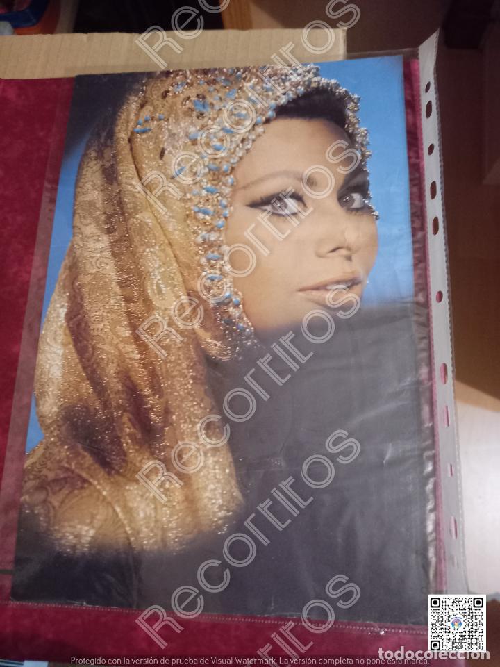 Coleccionismo de Revistas y Peri&oacute;dicos: ficha samuel bronston SOFIA LOREN LA CAIDA DEL IMPERIO ROMANO