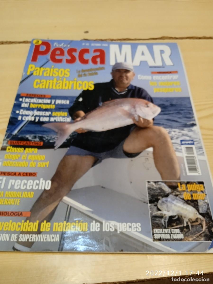 Collection Magazines and Newspapers: MM-250 REVISTA PESCA MAR N&ordm; 43 PARAISOS CANTABRICOS