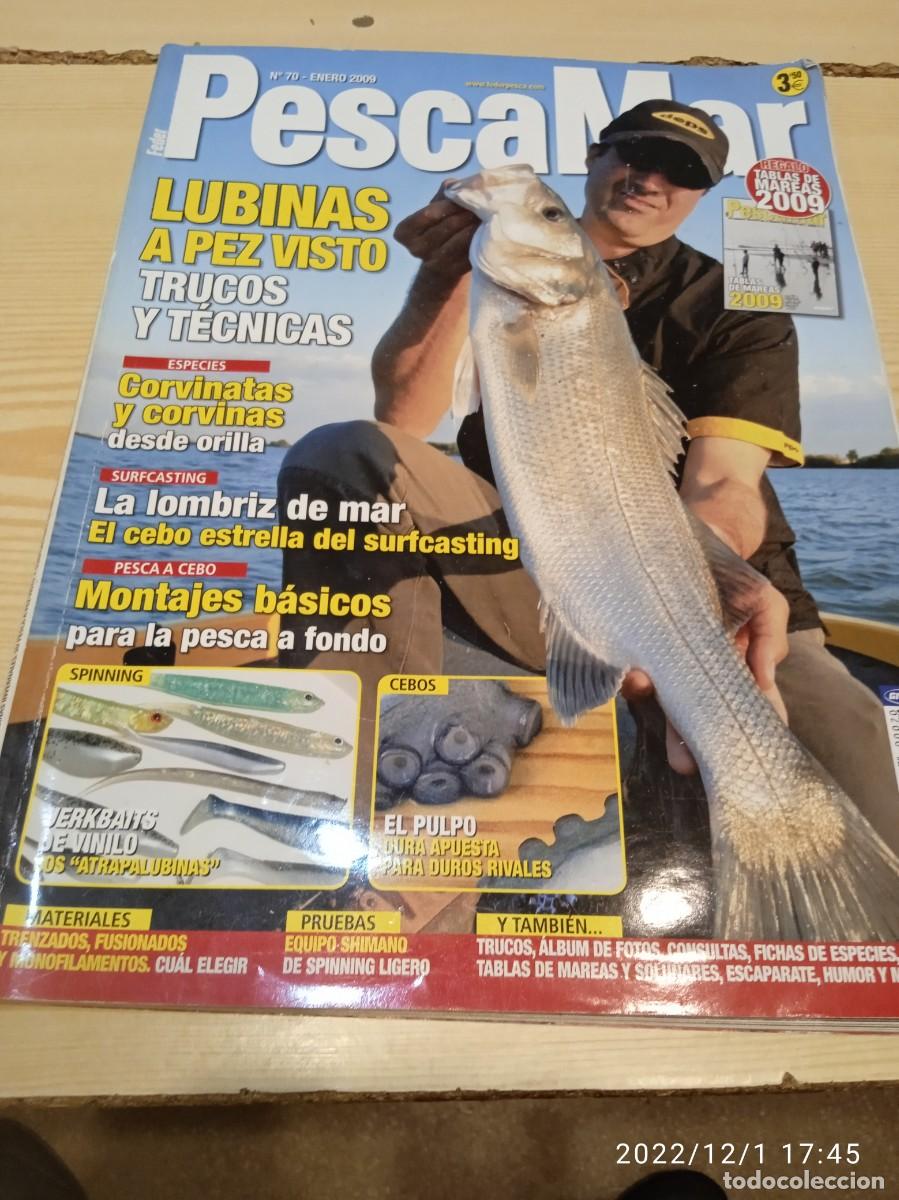 Collection Magazines and Newspapers: MM-250 REVISTA PESCA MAR N&ordm; 70 LUBINAS