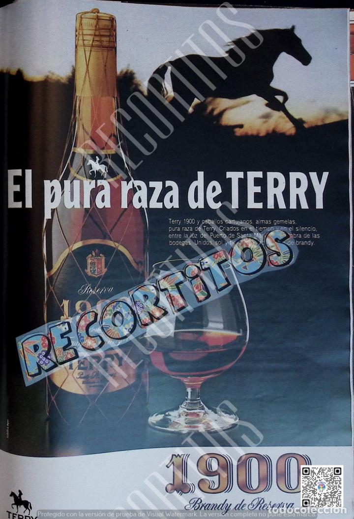 Coleccionismo de Revistas y Peri&oacute;dicos: anuncio BRANDY TERRY 1900
