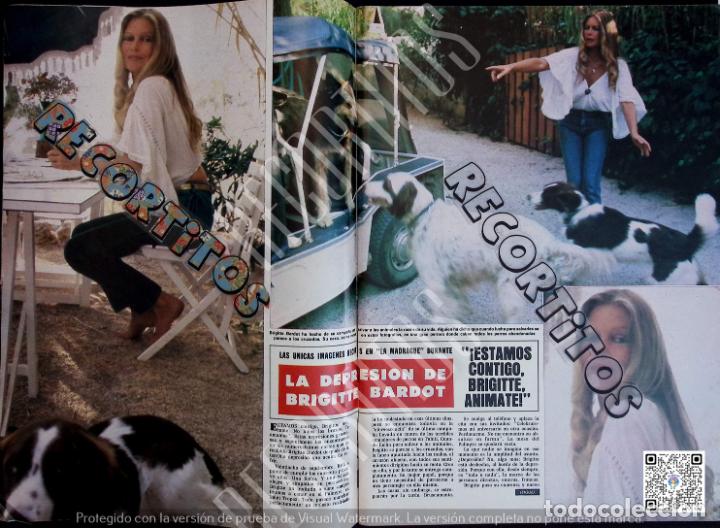 Coleccionismo de Revistas y Peri&oacute;dicos: brigitte bardot