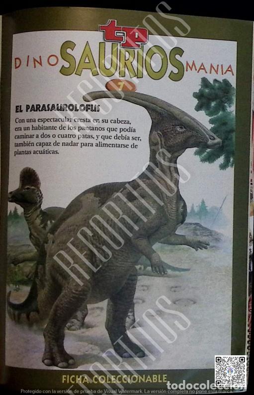 Coleccionismo de revistas y peri&oacute;dicos: DINO SAURIOS MANIA EL PARASAUROLOFUS FICHA COLECCIONABLE