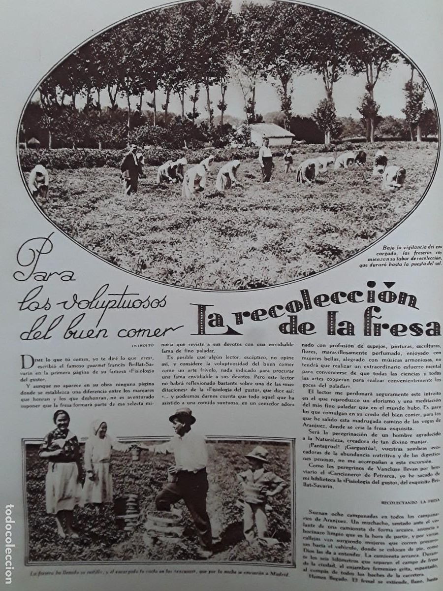 Collezionismo di Riviste e Giornali: LA RECOLECCION DE LA FRESA EN ARANJUEZ FRESERAS 2 HOJAS A&Ntilde;O 1929