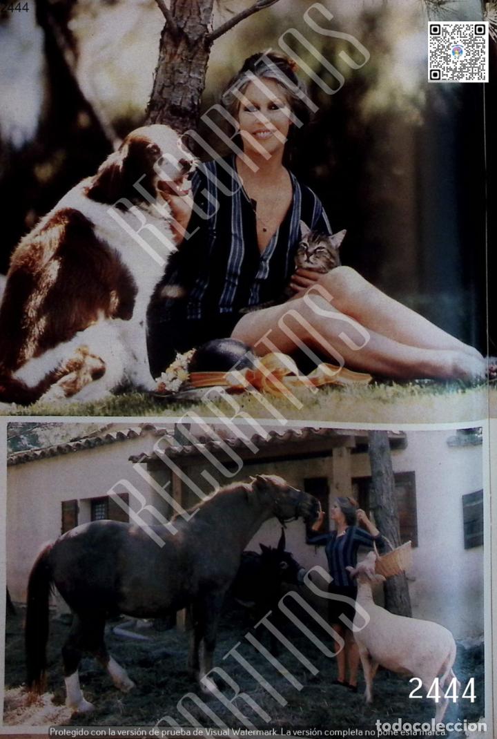 Coleccionismo de Revistas y Peri&oacute;dicos: BRIGITTE BARDOT