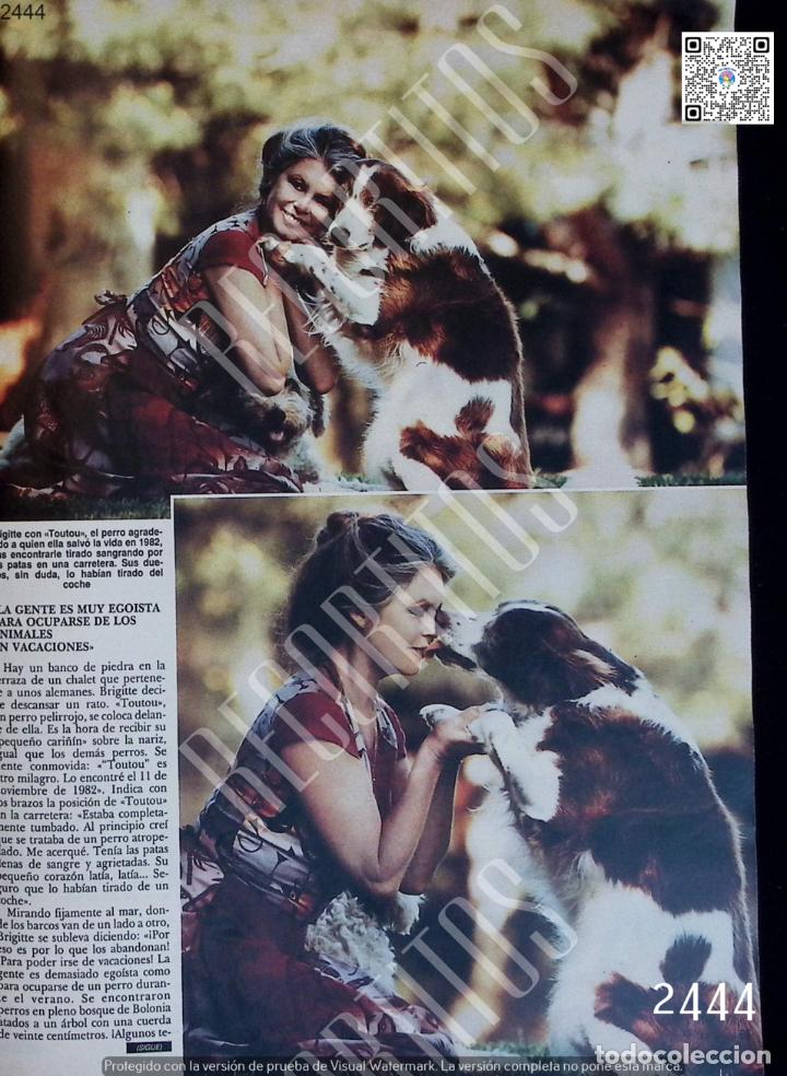 Coleccionismo de Revistas y Peri&oacute;dicos: BRIGITTE BARDOT