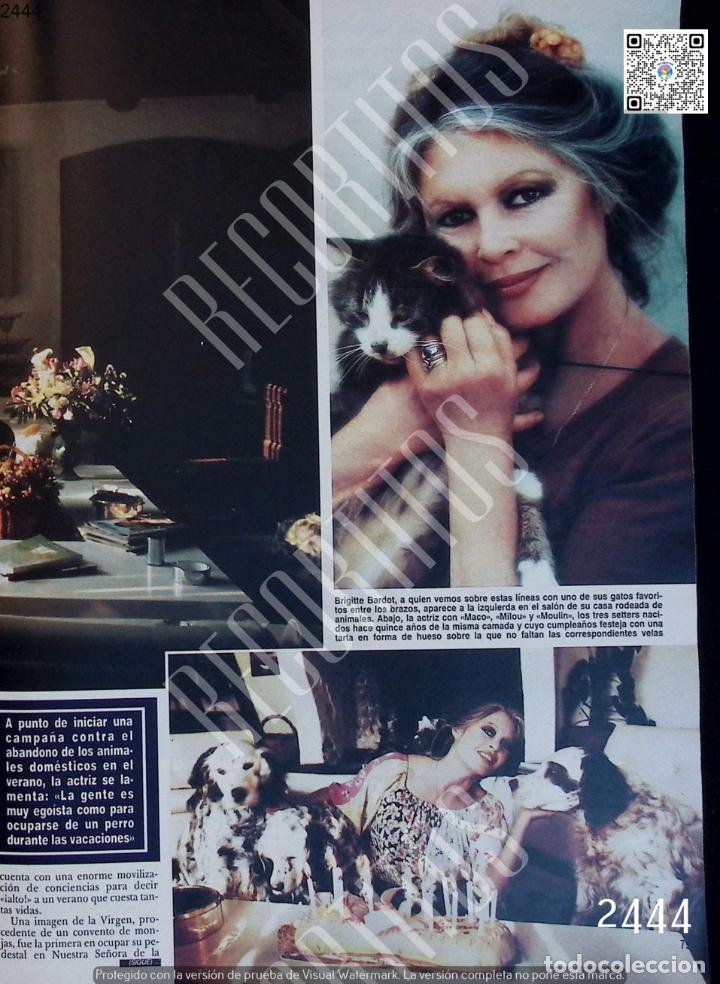 Coleccionismo de Revistas y Peri&oacute;dicos: BRIGITTE BARDOT