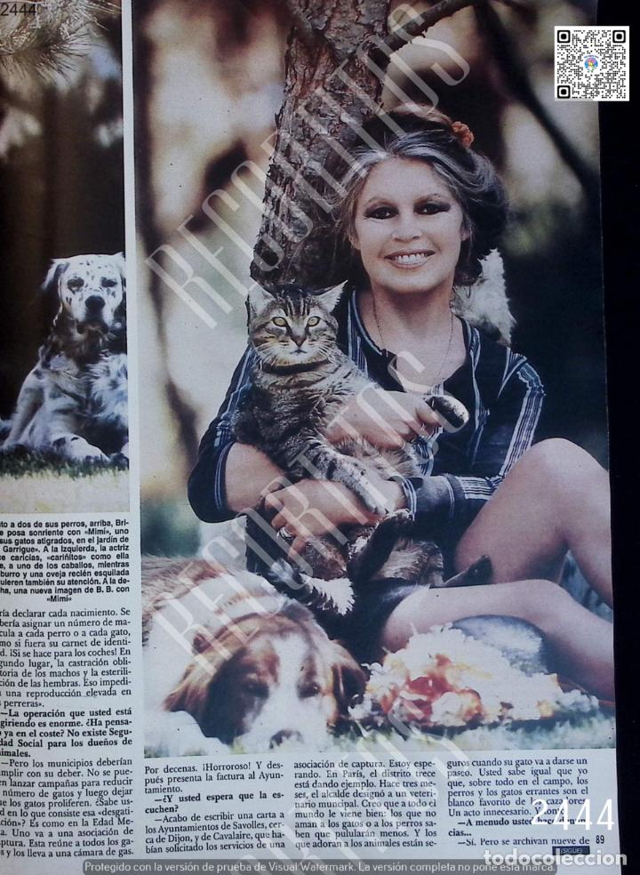 Coleccionismo de Revistas y Peri&oacute;dicos: brigitte bardot