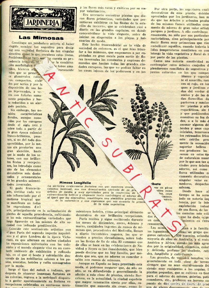 Coleccionismo de revistas y peri&oacute;dicos: REVISTA A&Ntilde;O 1946 LAS MIMOSAS ELPANIZO DE DAIMIEL SIERRAS DIANA FERRETERIA SCHROEDER HERNANI DAUNIS