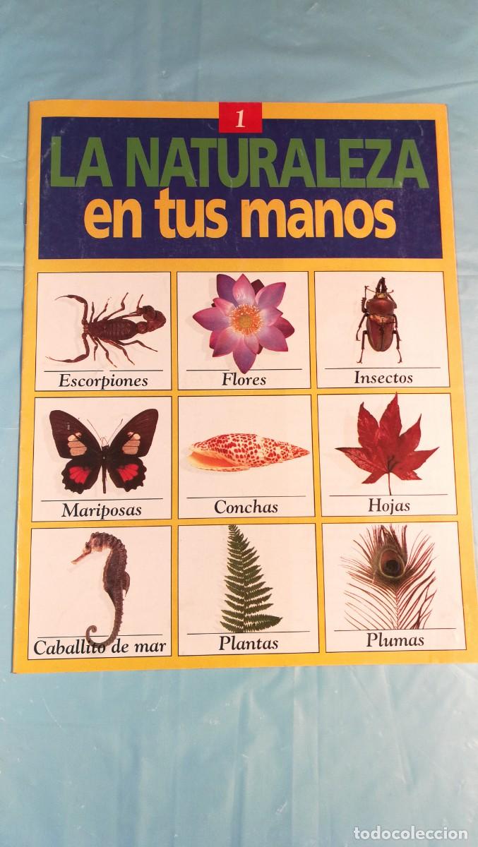 Coleccionismo de Revistas y Peri&oacute;dicos: La naturaleza en tus manos. Fasc&iacute;culo 1.- RBA a&ntilde;o 1.991