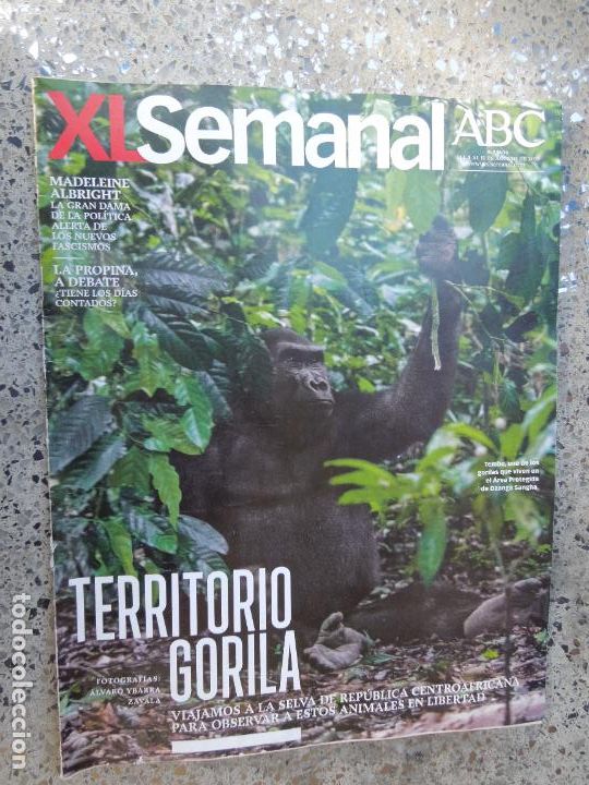 Coleccionismo de Revistas y Peri&oacute;dicos: XL SEMANAL ABC - N&ordm; 1606- 08-2018- TERRITORIO GORILA