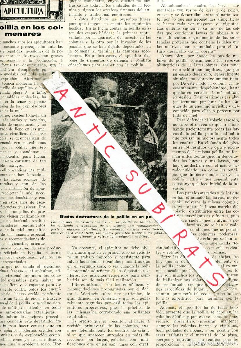 Collection Magazines and Newspapers: REVISTA A&Ntilde;O 1947 LA POLILLA EN LOS COLMENARES COLMENAS MIEL ABEJAS CACERES EL FRITE BORREGOS