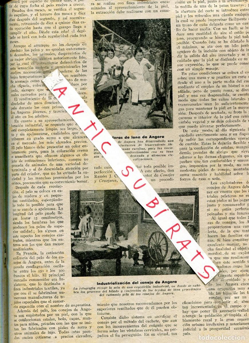 Collezionismo di Riviste e Giornali: REVISTA A&Ntilde;O 1948 HLADORAS DE LANA DEL CONEJO DE ANGORA GRANJA ALDAY SANTANDER GANADO MONTA&Ntilde;ES