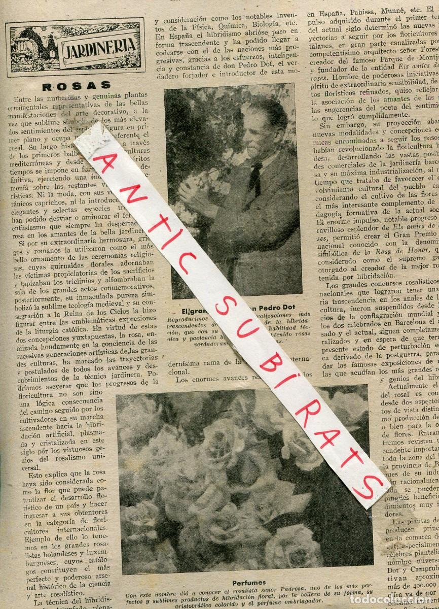 Collezionismo di Riviste e Giornali: REVISTA A&Ntilde;O 1948 ROSALISTA PEDRO DOT ROSAS VI CONCURSO DE GANADO DE PUIGCERDA