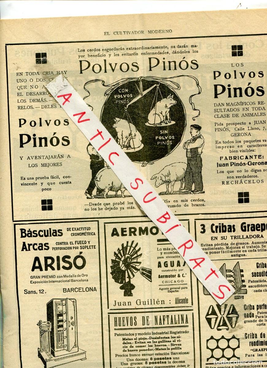 Coleccionismo de revistas y peri&oacute;dicos: REVISTA A&Ntilde;O 1936 POLVOS PINOS FEIPA SOLVAY TOPICO FUENTES PALENCIA TRACTORES LANZ RIVIERE DAIMIEL
