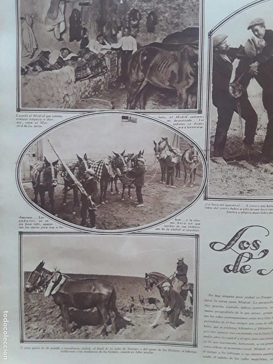 Coleccionismo de revistas y peri&oacute;dicos: LOS LABRIEGOS DE MADRID / EL FESTEJO DIARIO DE LA PARADA PLAZA ARMERIA 4 HOJAS REVISTA A&Ntilde;O 1929
