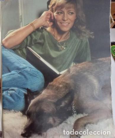Coleccionismo de revistas y peri&oacute;dicos: NATHALIE DELON PATRIK NOBERT