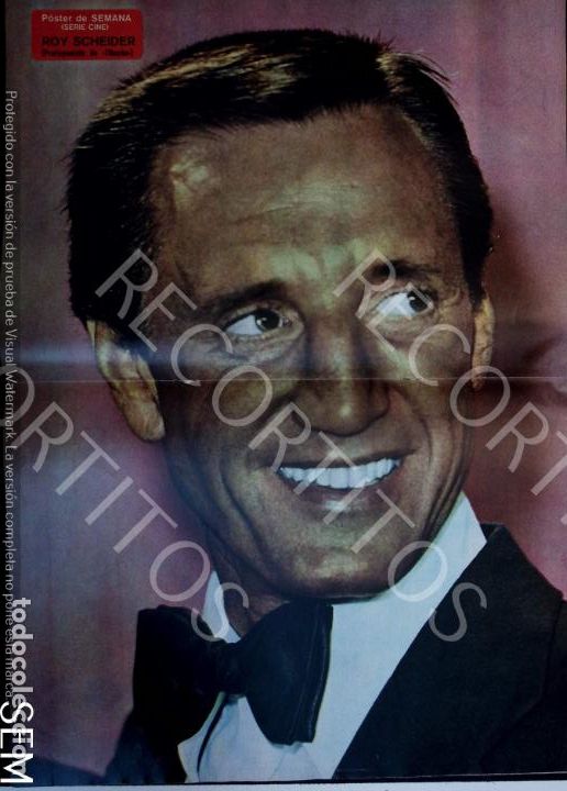 Collectionnisme de Revues et Journaux: POSTER ROY SCHEIDER roy scheider tiburon jaws
