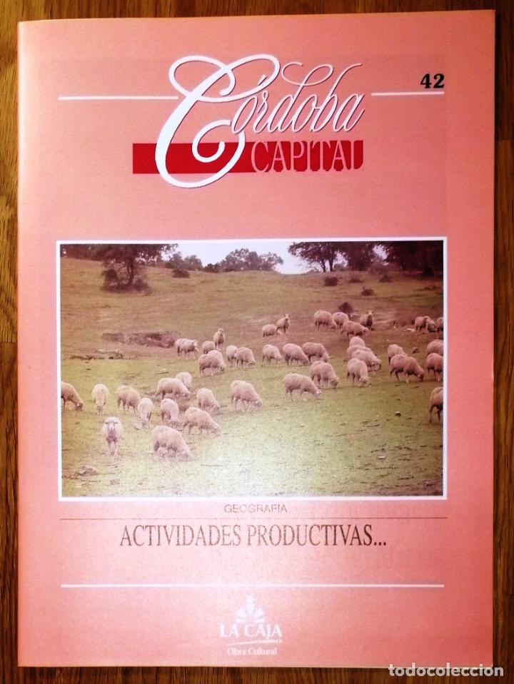 Sammeln von Zeitschriften und Zeitungen: C&Oacute;RDOBA CAPITAL. 42 : Actividades productivas... (GEOGRAF&Iacute;A). - 1993