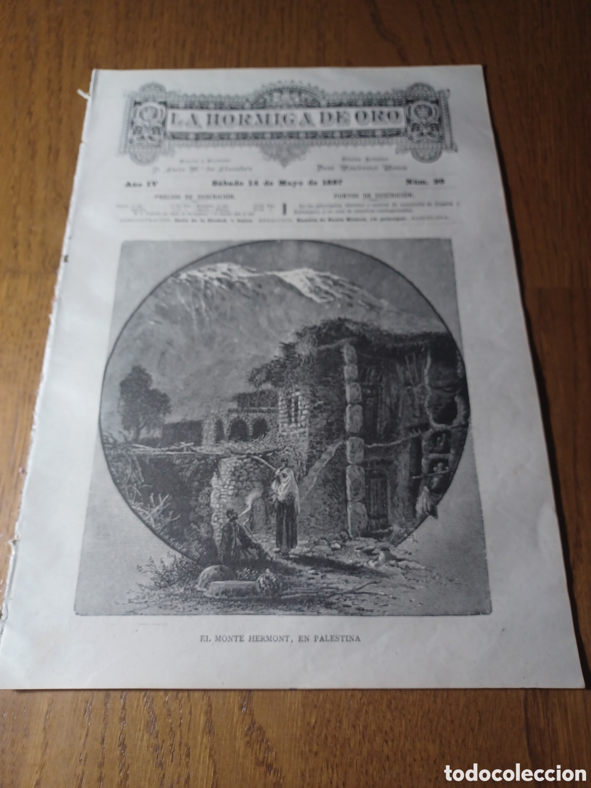 Colecionismo de Revistas e Jornais: REVISTA 1887 MONTE HERMONT PALESTINA. TUMBA DE LA REINA AMANTE DEL BOSQUE. SALA CORREO CATALAN