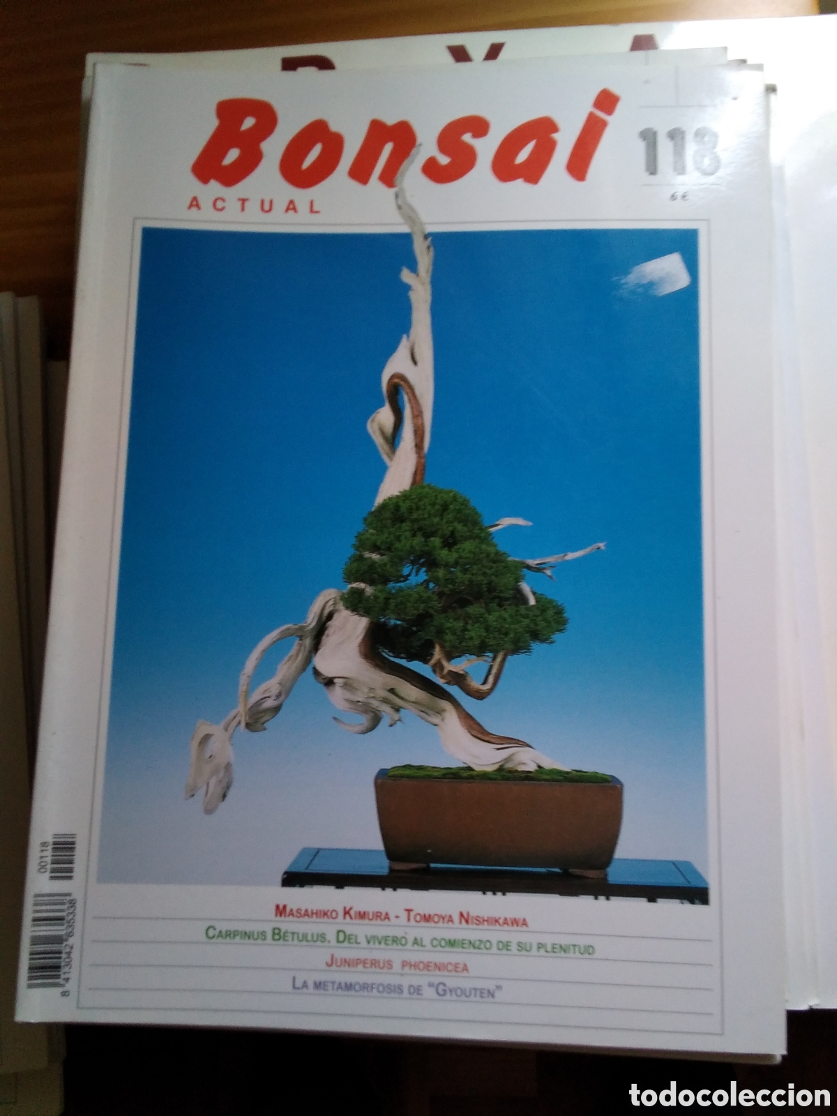 Coleccionismo de revistas y peri&oacute;dicos: Bonsai actual revista n&uacute;mero 118